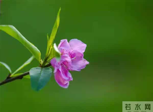 两性关系,50岁后,女人愿意被你抱,说明这几个心理防线已崩溃