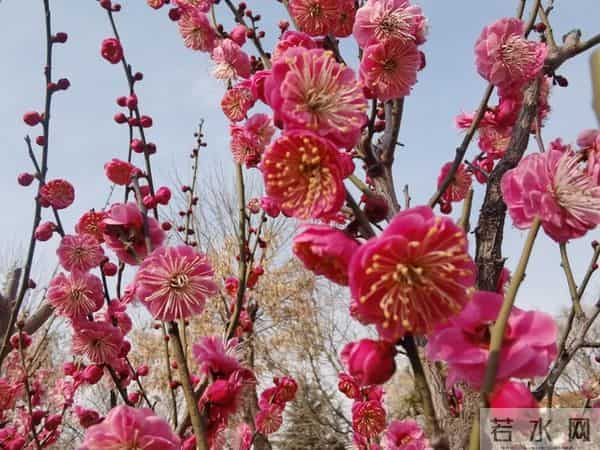 成年人最大的体面:有事做,有钱赚,别让闲散,偷走你的人生质感