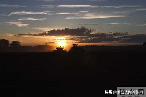 心累,是因为想太多,停止编排内心戏,拥抱此时此刻的安宁