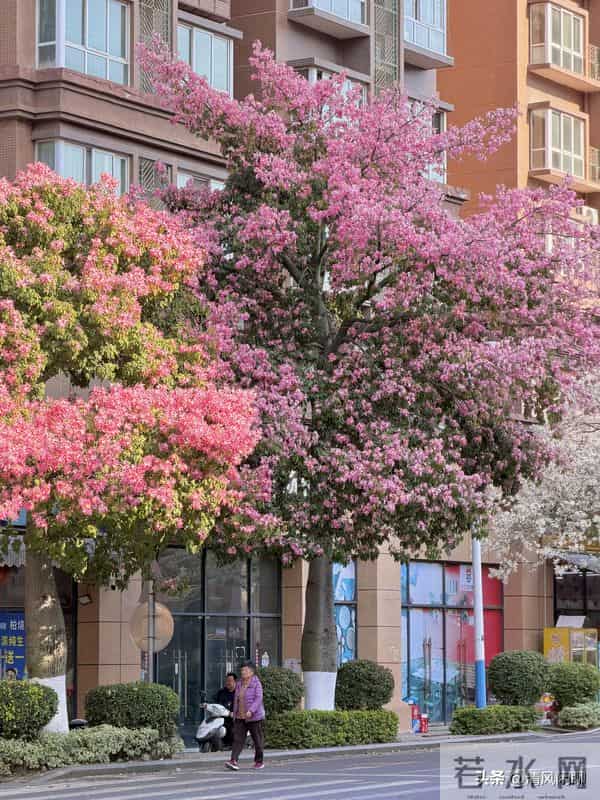 老人分两种,旺家和败家,看看你是哪一种