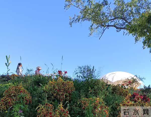 人生黑话二十句，抄下来让你少走蛮路，特别是最后五句