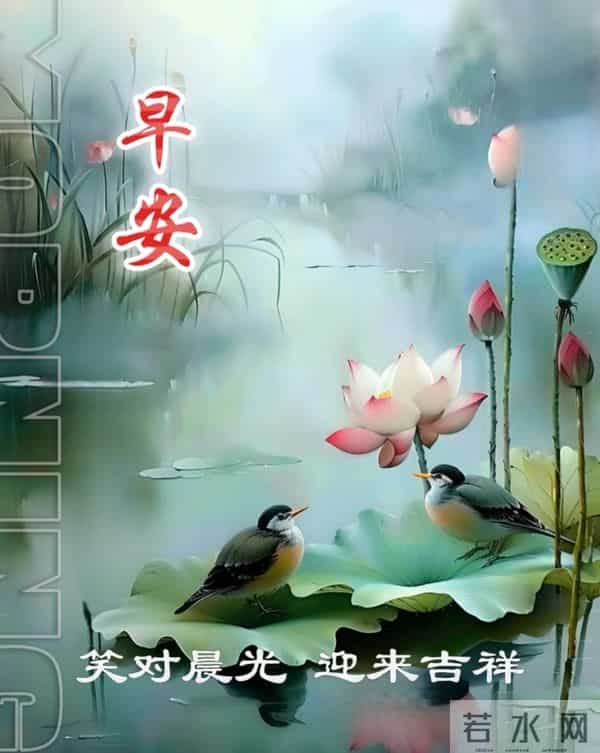 春醒草木，早安皆得圆满