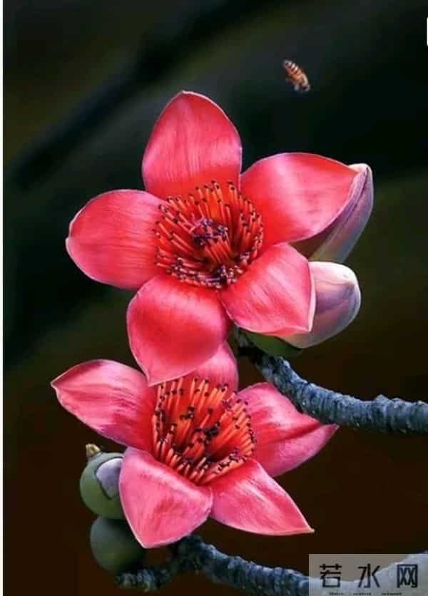 一半是征途的奔波，一半是归途的坚守，爱从未缺席