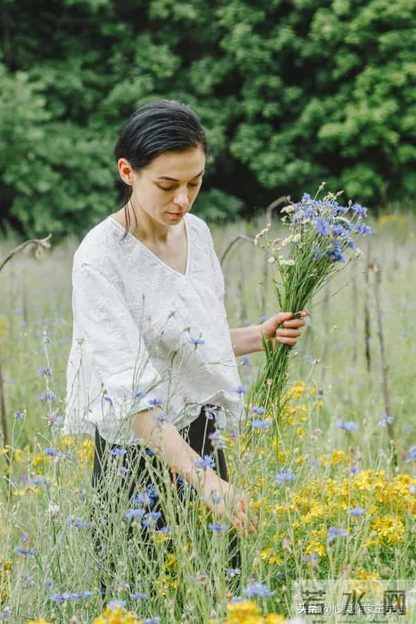 不必追他人花期,忙中守心自有节奏,专注热爱终成更好的自己