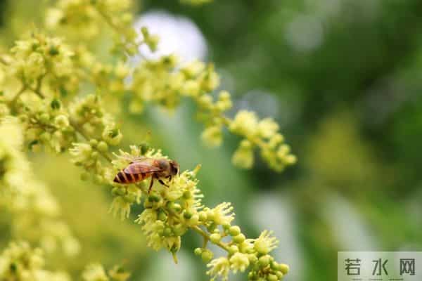 放下一个男人最好的方式