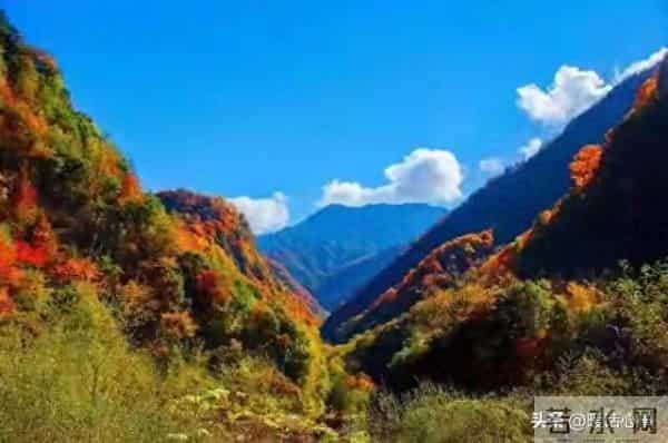 女人长期不碰异性,3个危害藏不住