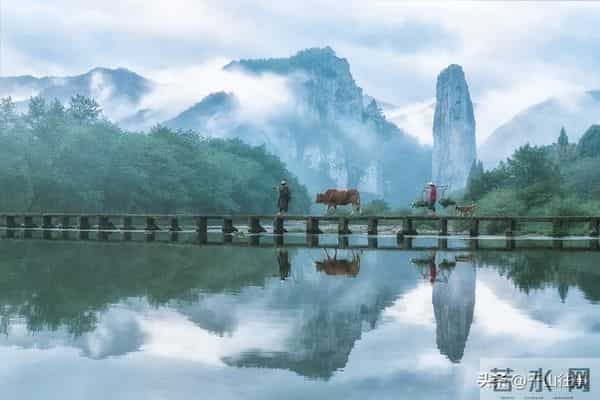 别不信!人的一生,这四件事早就是天定的,强求没用