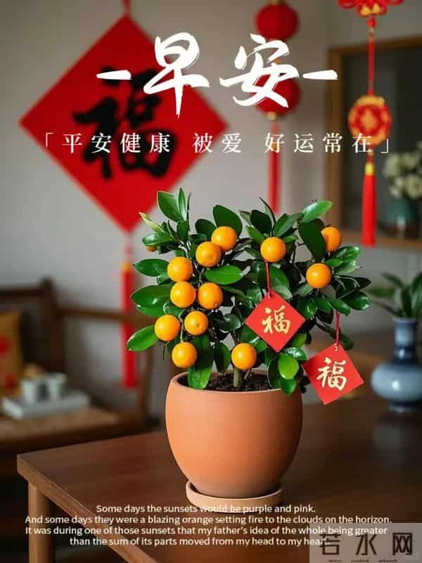 2025年12月05日早上好 早上好温馨问候祝福语 早安精美图片 周五愉快