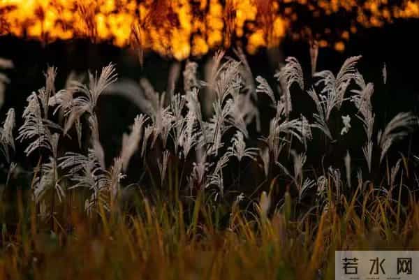 如果你正感觉寸步难行，恭喜，你的大运要来了。