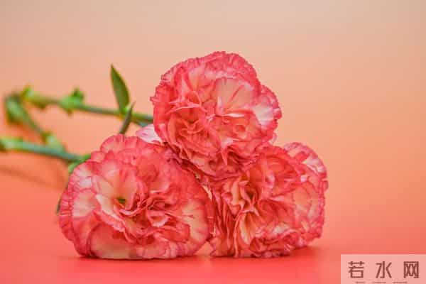 很暖很治愈的唯美句子,句句温柔,句句暖心