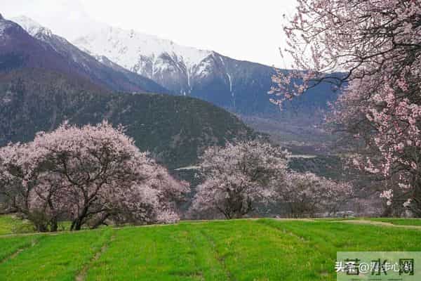 过了60岁，就别胡思乱想，更别焦虑了，做到这几点，就能安度晚年