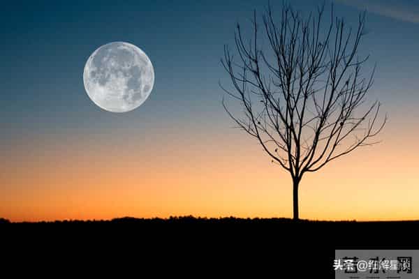 第二名:巳蛇,12月5号,接下来12天,就要喜从天降!