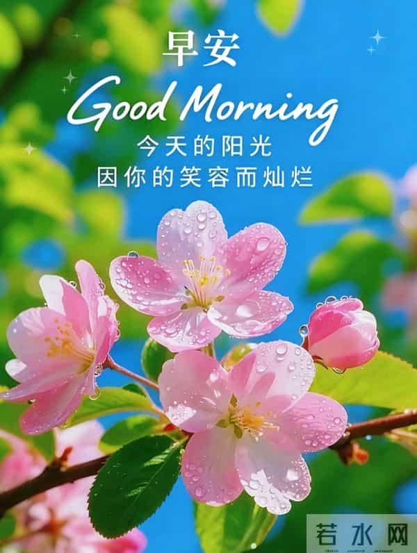 2025年12月5日早上好 早安精美美图 早安周五愉快 早安温馨祝福语