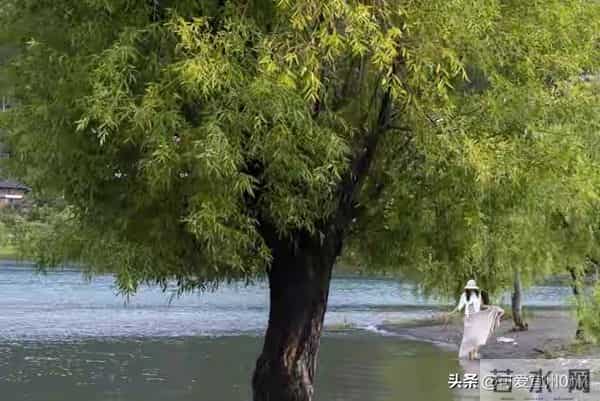 多数女人愿意和男人长期暧昧-原因就两点,戳中无数人的隐秘私处