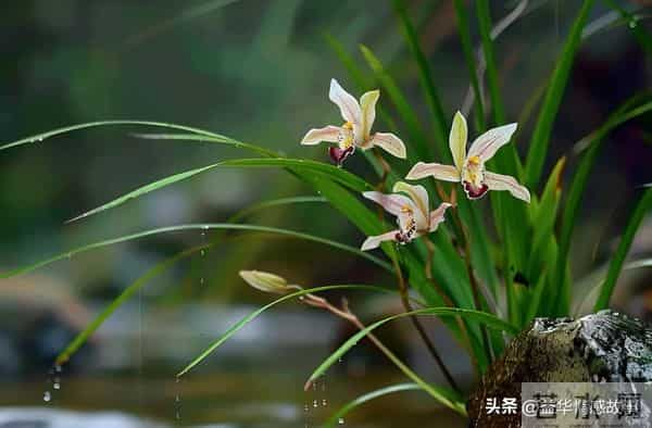 两性关系:80岁女人说的大实话,句句扎心,赶紧看看。