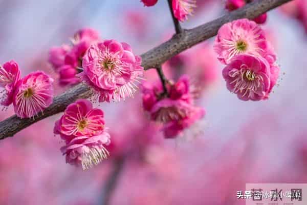 断联后,女人还默许你问这个“隐私”,说明想和你“再续前缘”