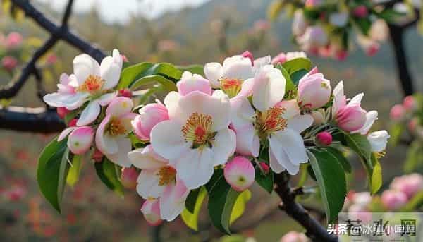 两性关系:所有女人请记住,选男人就一条,就选疼你的,别再犹豫