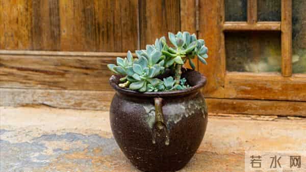 母亲住院女儿伺候，出院让儿女均摊费用，大哥一句话母亲才知错了