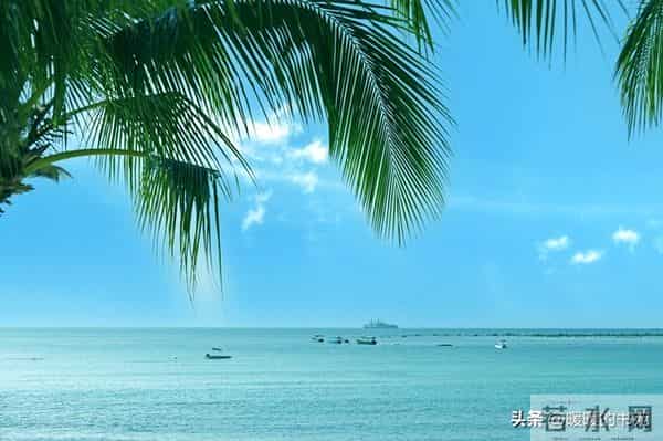 天花板级经典文案，再忙也值得读一遍