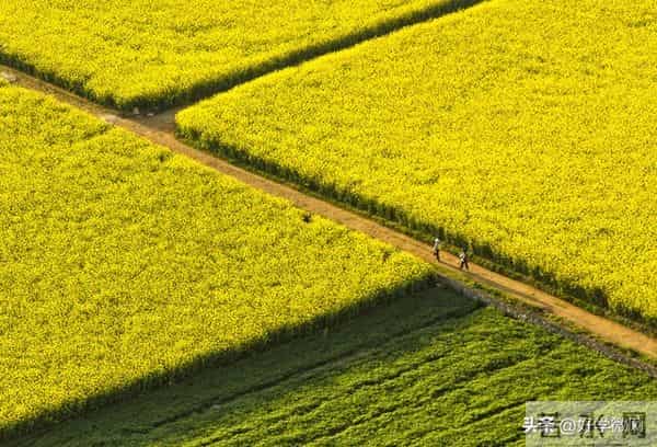 真正有福气的女人，婚姻多半不顺：她的归宿，从来不是婚姻