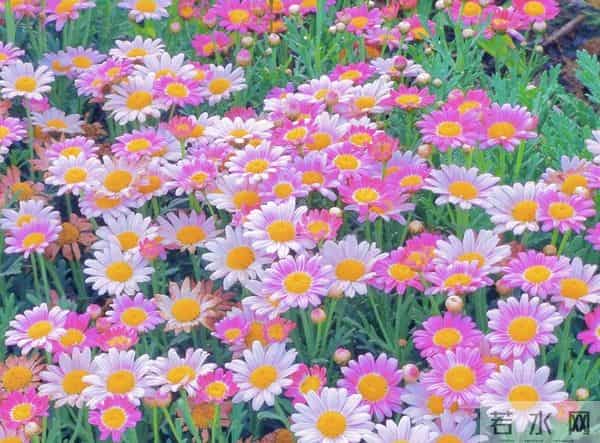 这周后惊喜不断的3大星座，存款暴涨，爱情关满，身体往往就5点！