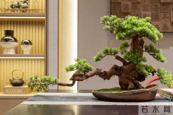 老了才明白,最幸福的往往是这三种老人,第一种就很少见