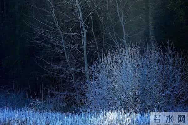 说说“贪”，其实我们每个人都很贪，只是自己不知道。