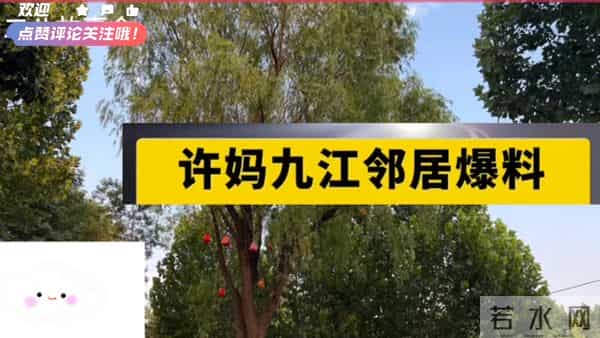 关键线索浮出水面,真相或许就藏在这里