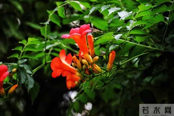 人品好的人,无论到什么年纪,都不会缺人爱