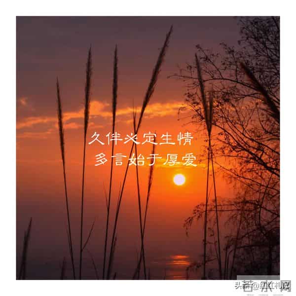 既然无缘，何须誓言。