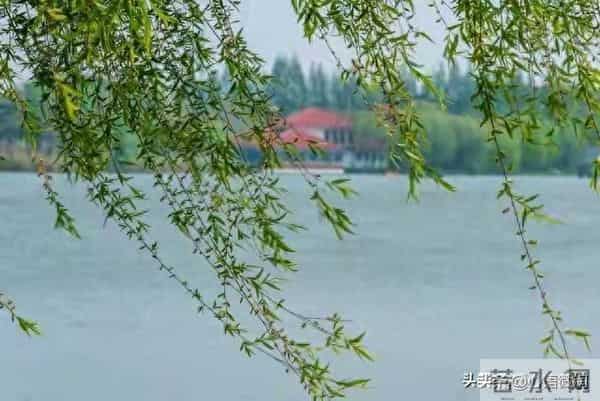 学霸可能出现最多的星座，看看你家的那位在这里吗？