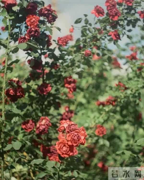 异性之间关系“越界”的开始，往往是从敢喊你这“三个字”