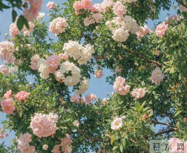 晚年最怕的不是孤独，而是把关系弄僵了才想明白