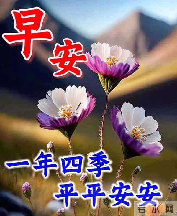 2025年12月05日早上好 早上好温馨问候祝福语 早安精美图片 周五愉快