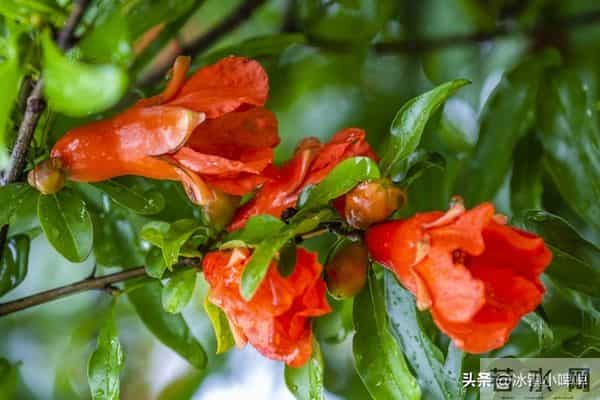 活得久的男人,没几个靠药,大多靠这三件事“想通了”