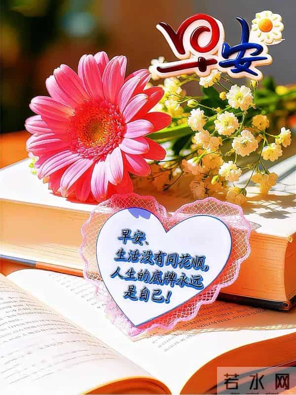 2025 年 12 月 5 日周五早安 冬日暖图寄问候 愿你今日舒心 万事顺意