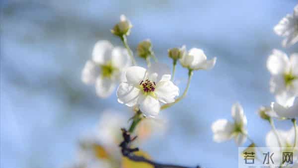 离婚6年前夫患重病,前婆婆找我出钱救人,我说好却转身离家出走