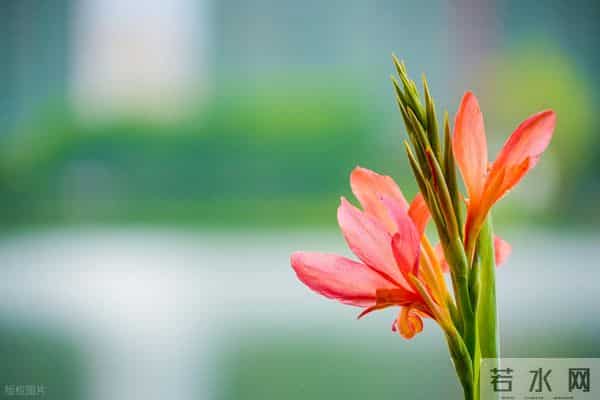 男女之间有3种感觉，就是相互喜欢的灵魂伴侣