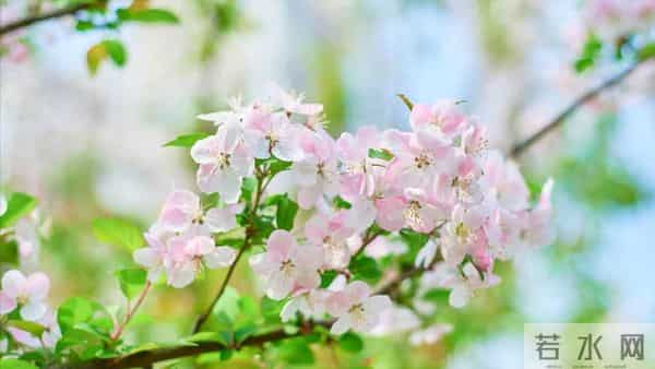 我住院儿子忙没管,女婿在医院伺候一周,出院我给了女儿3万块钱