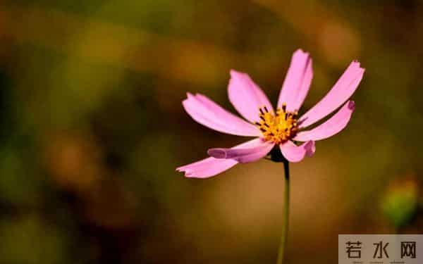 男人心底的4个软肋,抓住了,他便离不开你