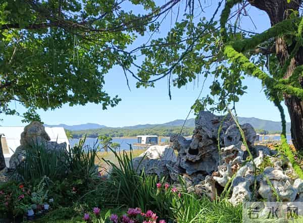 人生黑话二十句，抄下来让你少走蛮路，特别是最后五句