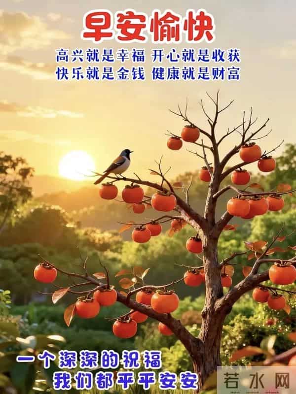 2025 年 12 月 5 日早上好 早上好精美美图温馨祝福语 早安周五愉快