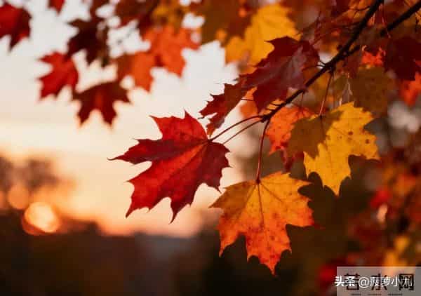 真正厉害的女人,从不问男人这几个问题,这才是真聪明