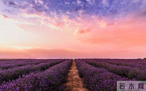 100个离婚女人的血泪教训:婚姻幸福的关键不是有钱而是这两个字