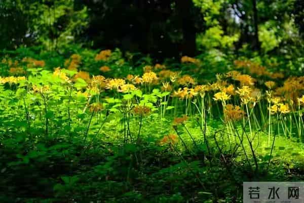 震惊现实：原来不论有钱没钱，大多数人真的是在“凑数”过日子