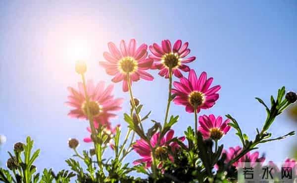 当别人对你使绊子时，最高级的反击是“懒得理”！