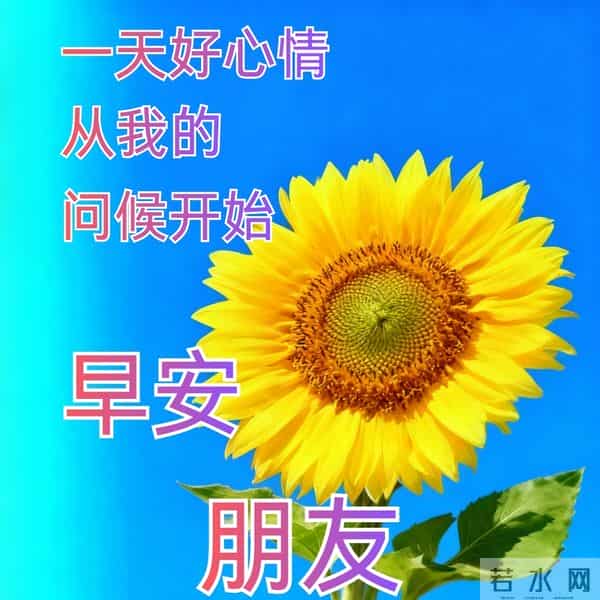 早安问候漂亮图片祝福美图