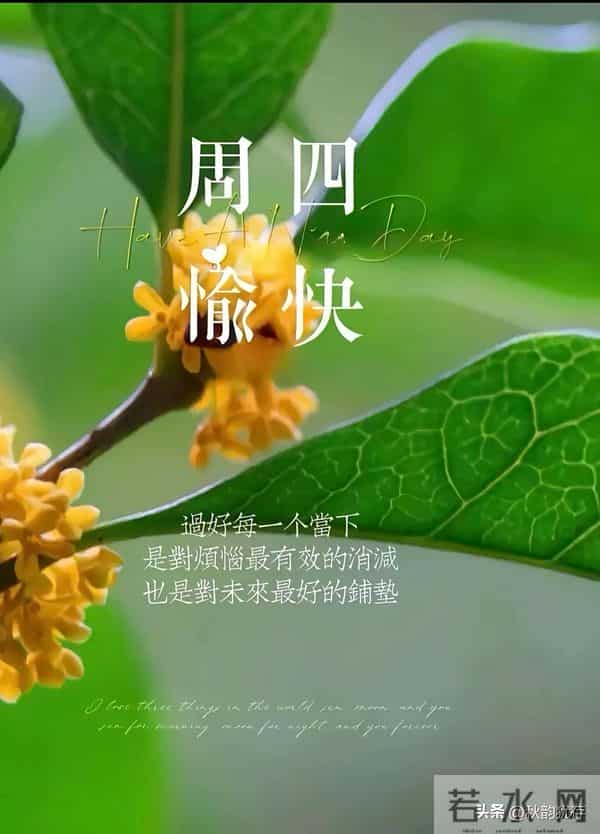 早安，凡是过往皆是序章，所有将来皆为可盼。