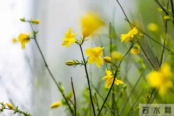 不管儿媳对你亲不亲，记住这3个理，晚年不憋屈