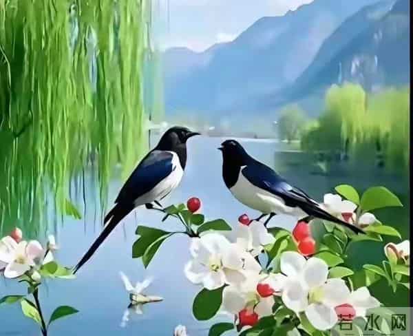 男人可以抱女人睡，但别抱希望，可以亲女人嘴，但别信女人那张嘴